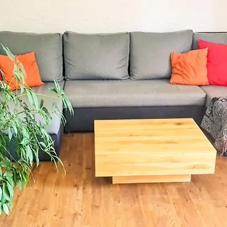 Bussalp - Aare Jungfrau Ag * Grindelwald