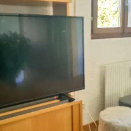 Bussalp - Aare Jungfrau Ag Apartament *