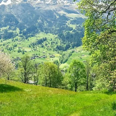 شقة Bussalp - Aare Jungfrau Ag جريندلوالد