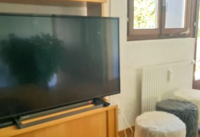 Bussalp - Aare Jungfrau Ag Lejlighed *